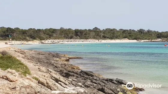 Platja d'es Carbo