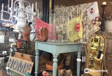 The Shady Lady购物图片