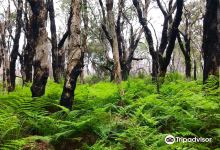 Arakoon National Park景点图片