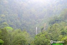 Cijalu Waterfall景点图片