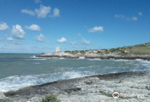 Spiaggia di Scialmarino景点图片