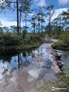 Phu Kradueng National Park-普加东县