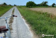 Cycles Romé购物图片