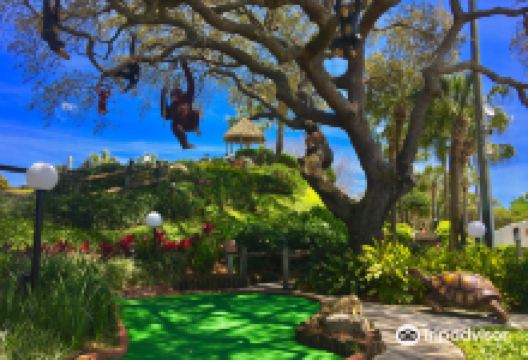 Coconut Creek Family Fun Park景点图片