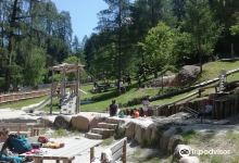 Parco naturale Trodena景点图片