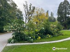 迈瑙岛-康斯坦茨