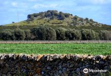 Bosco Cuturi景点图片