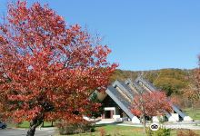 Memorial Park Beppo Park景点图片