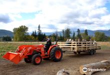 Harpur Family Farm Pumpkin Patch景点图片