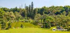 国家植物园-圣多明戈