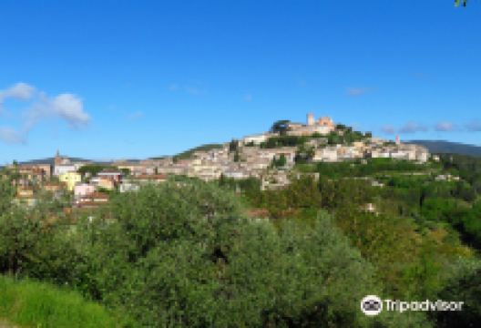 Torre Civica Dodecagonale景点图片