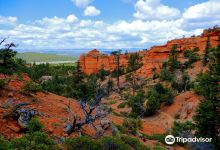Red Canyon Trails Powell Ranger District Dixie National Forest景点图片