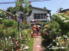 Roy Geddes Steel Pan Museum-乔治敦