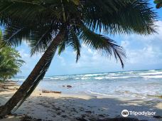 Playa Cocles-Talamanca