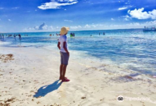 JAZEERA BEACH景点图片