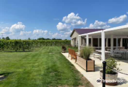 Knotty Vines Winery景点图片