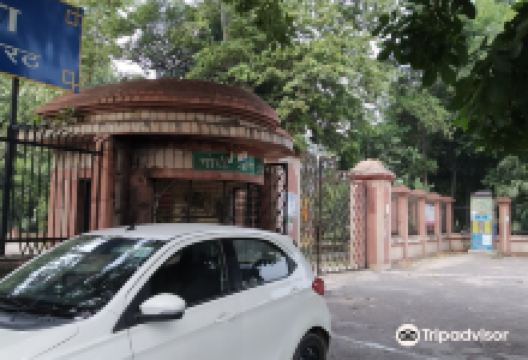 Gandhi bagh景点图片