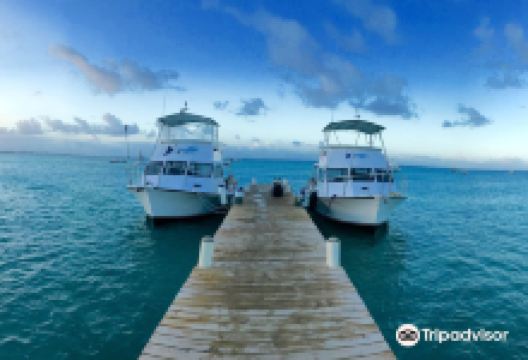 Living The Dream Divers购物图片