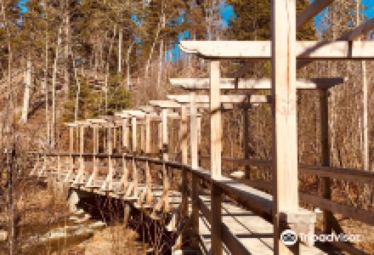 Muskrat trail景点图片