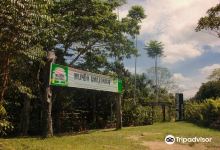 Parque Ecologico Mundo Amazonico景点图片