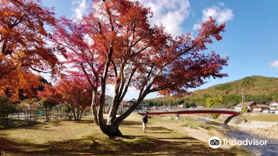 Maple Forest of Yuishoan Trace