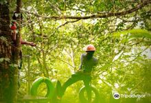 Fun Forest Adventure Park景点图片