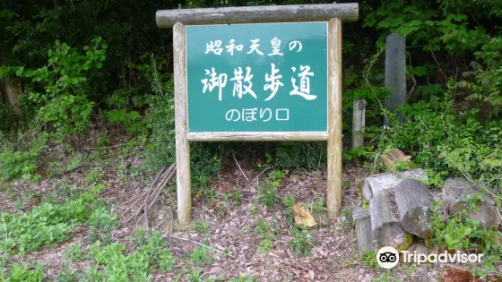 昭和天皇の御散歩道