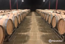 Cantina Domenico Clerico景点图片