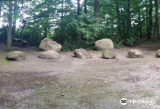 Das Gogericht auf dem Desum景点图片