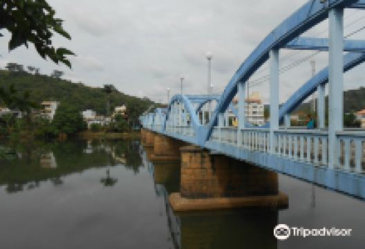 Ponte Raul Veiga景点图片