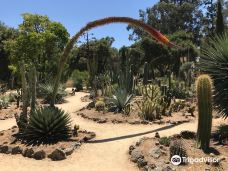 Arizona Garden-马里科帕