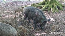 ErlebnisWald Trappenkamp-Daldorf