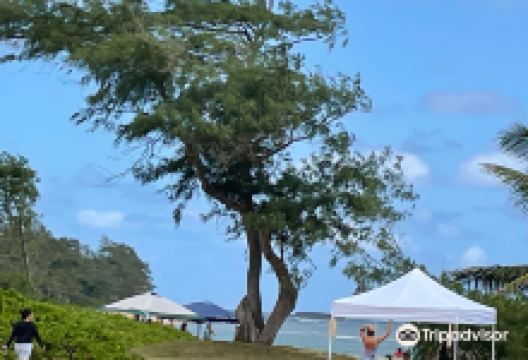 Hukilau Beach景点图片