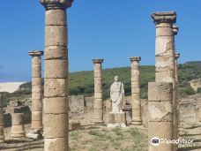 巴埃洛克劳狄亚-塔里法