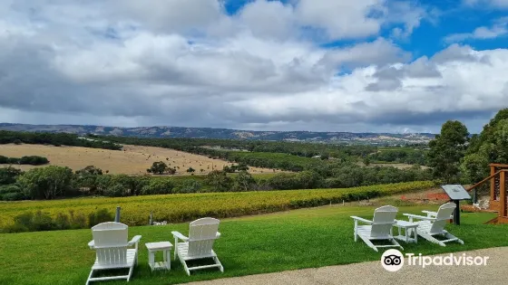 Kay Brothers Amery Vineyards
