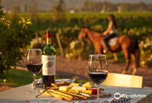 Viu Manent Winery景点图片