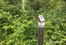 Eagle Point Provincial Park景点图片