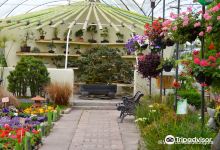 Vivero Crisalide景点图片