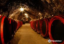 Tokaj Macik winery景点图片
