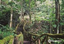 Mighty Cave景点图片