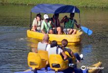 Parque Comfama Rionegro景点图片