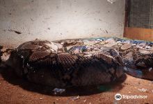 El Teutle Serpientes景点图片