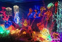 Bellevue Botanical Garden景点图片