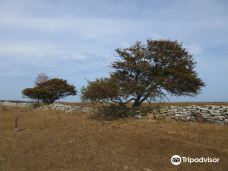 Ottenby Naturum-默尔比隆阿