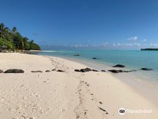 Tereia Beach-莫皮蒂岛