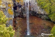 Mangawhero Falls景点图片
