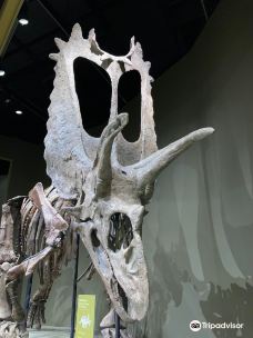 Sam Noble Oklahoma Museum of Natural History-诺曼