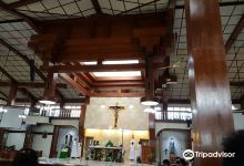 St Stepahnus' Catholic Church景点图片