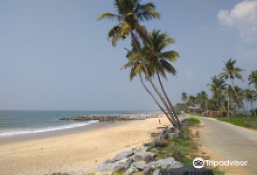 Pithrody Udyavar Beach景点图片
