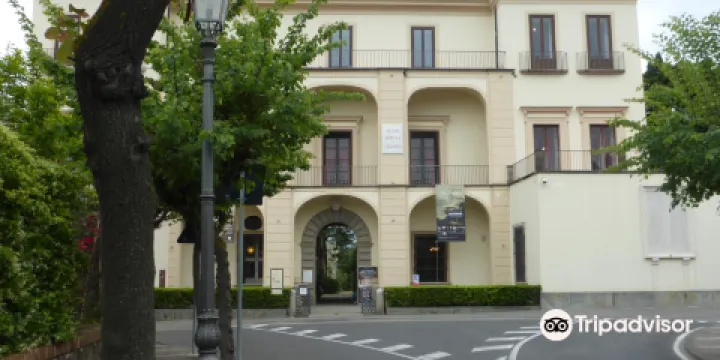 科雷亞萊博物館